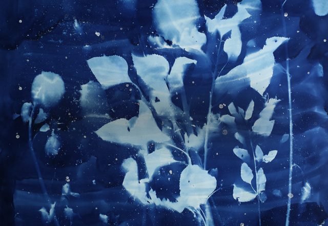 Magnetic Vines - Constellation in B Minor (Spotify), Neoclassical music genre, Nagamag Magazine