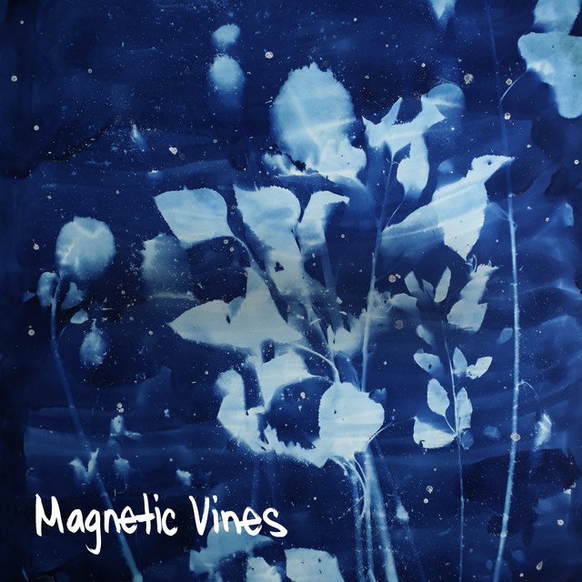 Magnetic Vines – Constellation in B Minor (Spotify)