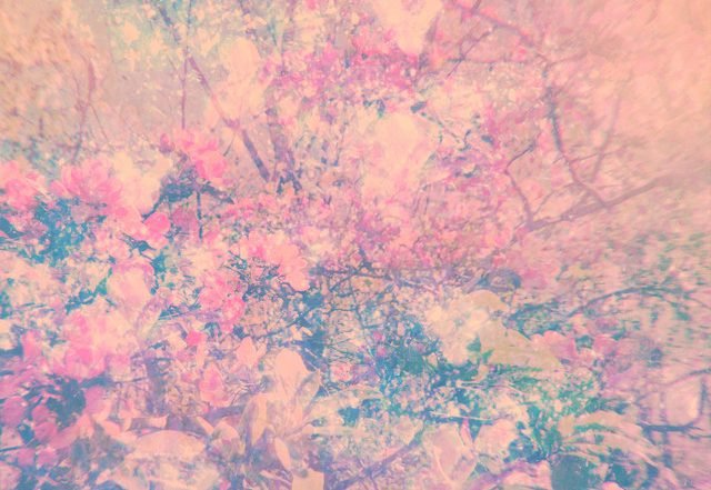 Project AER - Lark Rise (Spotify), Electronica music genre, Nagamag Magazine