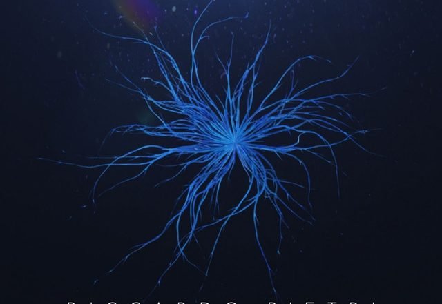 Riccardo Pietri - Luminous Island (Spotify), Neoclassical music genre, Nagamag Magazine