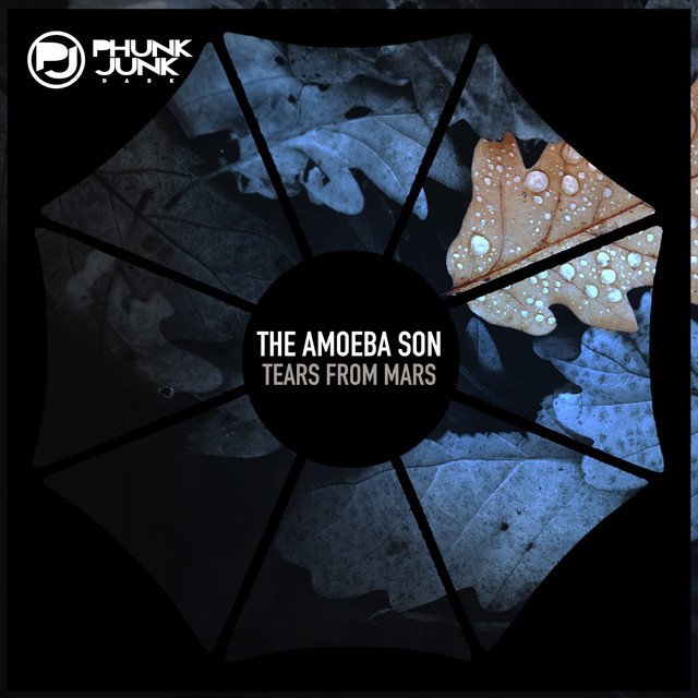 The Amoeba Son - Tears From Mars - Extended Mix (Spotify), Electronica music genre, Nagamag Magazine