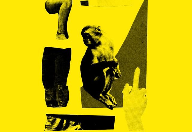 Trip Tease, Kris Berle - Monkey (Spotify), House music genre, Nagamag Magazine