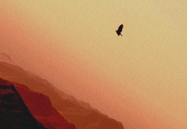 Anton Kling - Lone (Spotify), Electronica music genre, Nagamag Magazine