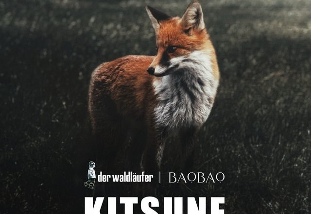 Der Waldläufer, BaoBao - Kitsune - Downtempo Edit (Spotify), Electronica music genre, Nagamag Magazine