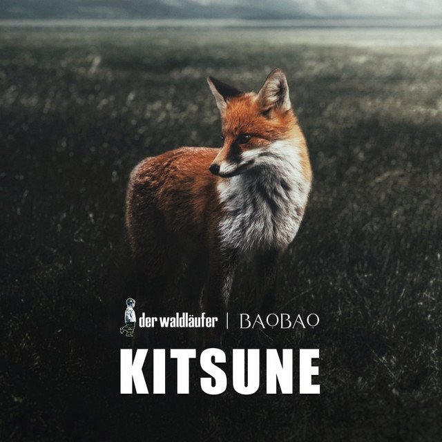 Der Waldläufer, BaoBao - Kitsune - Downtempo Edit (Spotify), Electronica music genre, Nagamag Magazine