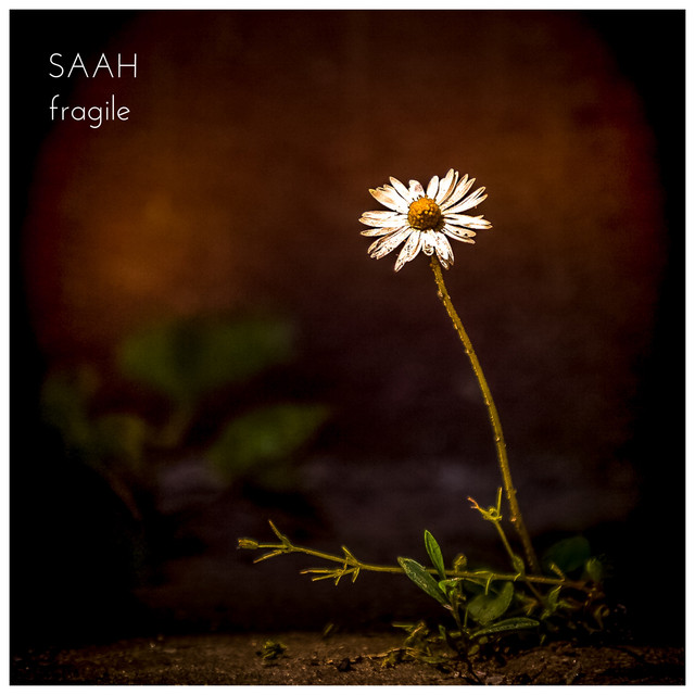 Saah - Fragile (Spotify), Neoclassical music genre, Nagamag Magazine