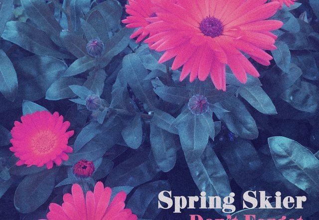 Spring Skier - Don't Forget (Spotify), Pop music genre, Nagamag Magazine