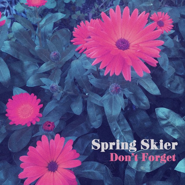 Spring Skier – Don’t Forget (Spotify)