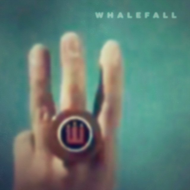 Whale Fall – It Will Become Itself (Spotify)