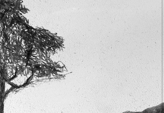 Willebrant - The Pilgrim (Spotify), Electronica music genre, Nagamag Magazine