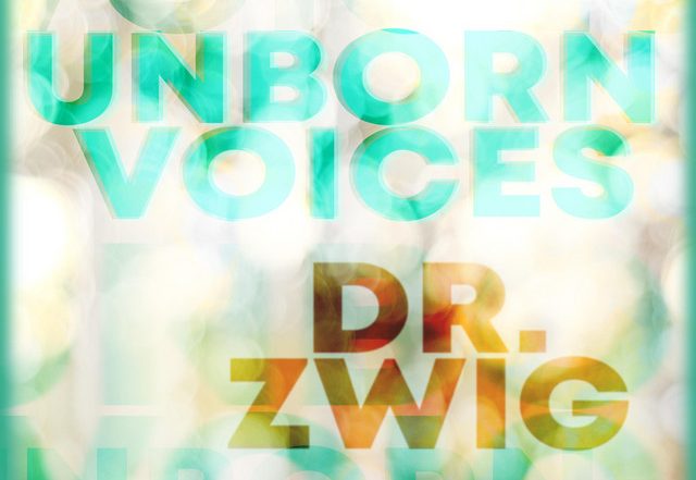 Dr. Zwig - Unborn Voices (Spotify), Rock music genre, Nagamag Magazine