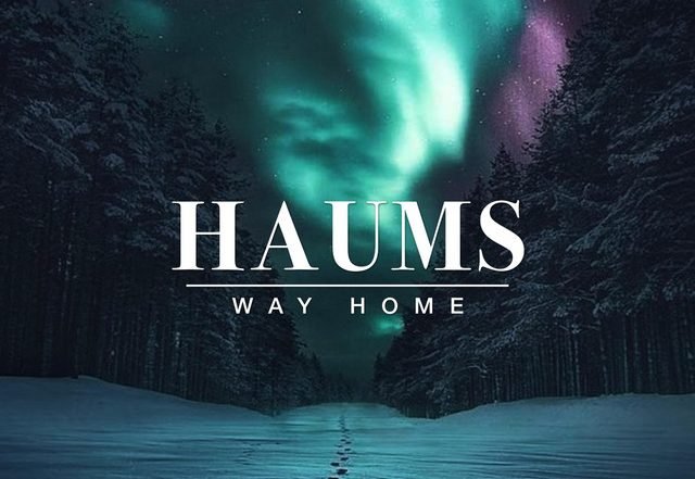 HAUMS - Way Home (Spotify), Electronica music genre, Nagamag Magazine