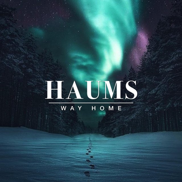 HAUMS - Way Home (Spotify), Electronica music genre, Nagamag Magazine