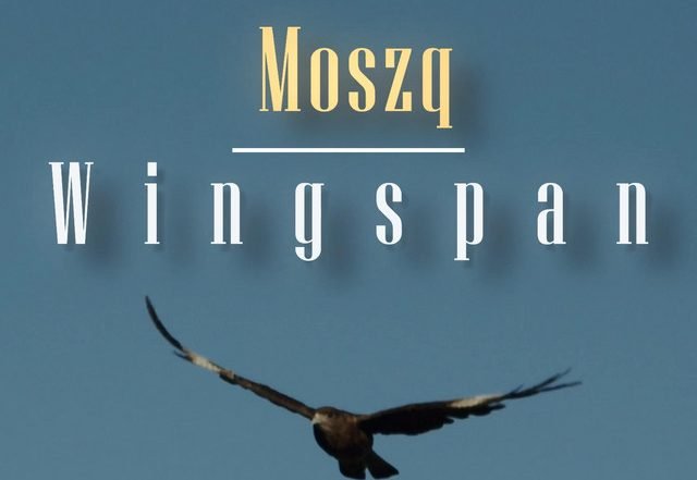 Moszq - Wingspan (Spotify), Techno music genre, Nagamag Magazine
