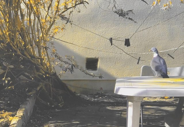 Hessian - Awash (Spotify), House music genre, Nagamag Magazine