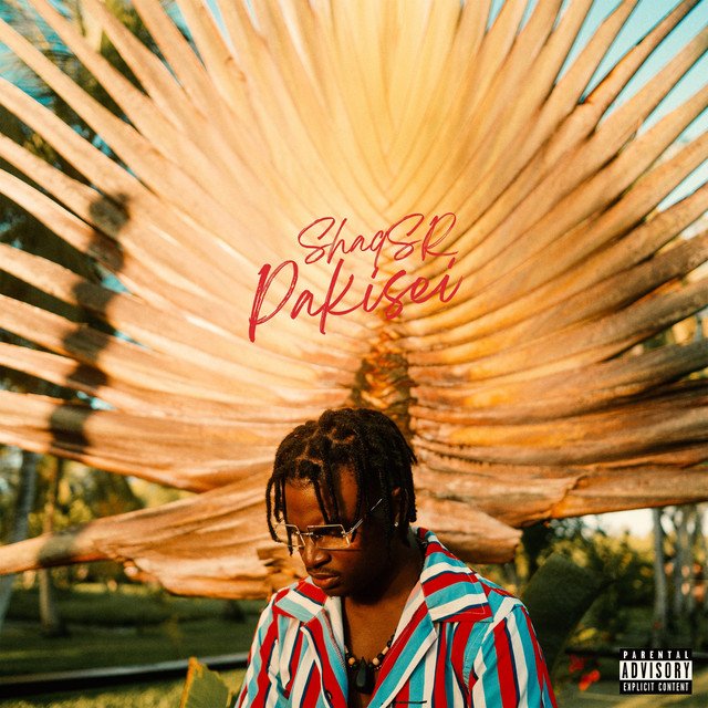 Shaq.Sr – Buy You (Spotify)