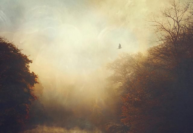 Stray Theories - Empath (Spotify), Neoclassical music genre, Nagamag Magazine