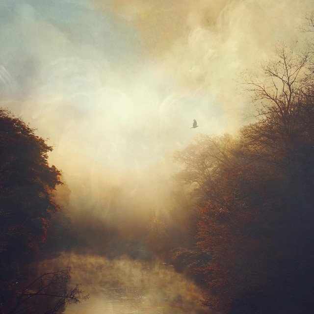 Stray Theories - Empath (Spotify), Neoclassical music genre, Nagamag Magazine