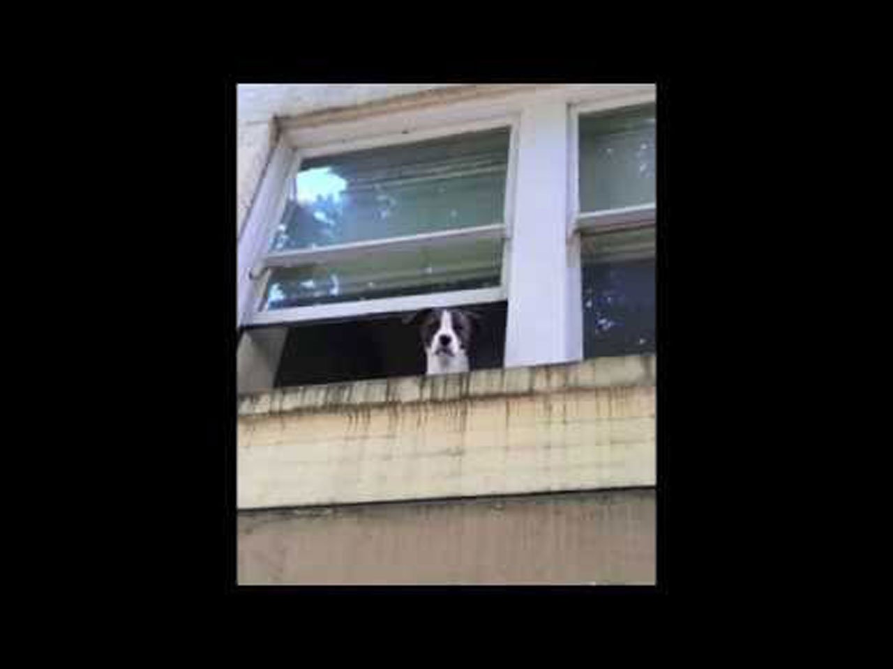 The Love and Stress Compound - Sore Eyes (Video), Pop music genre, Nagamag Magazine