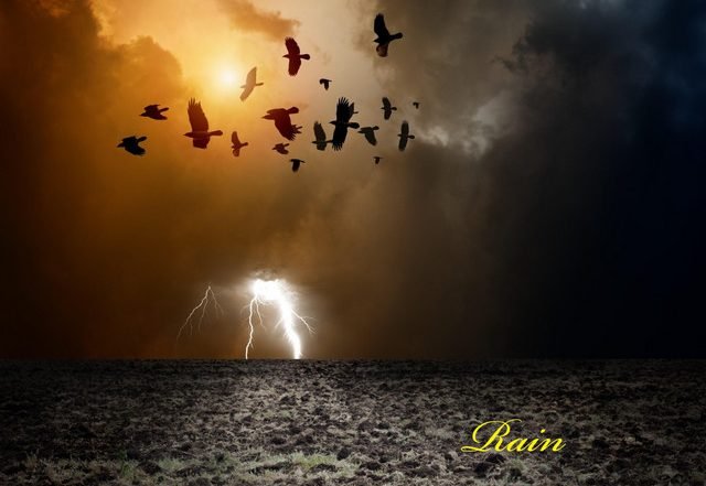Carolyn Barela - Rain (Spotify), Neoclassical music genre, Nagamag Magazine