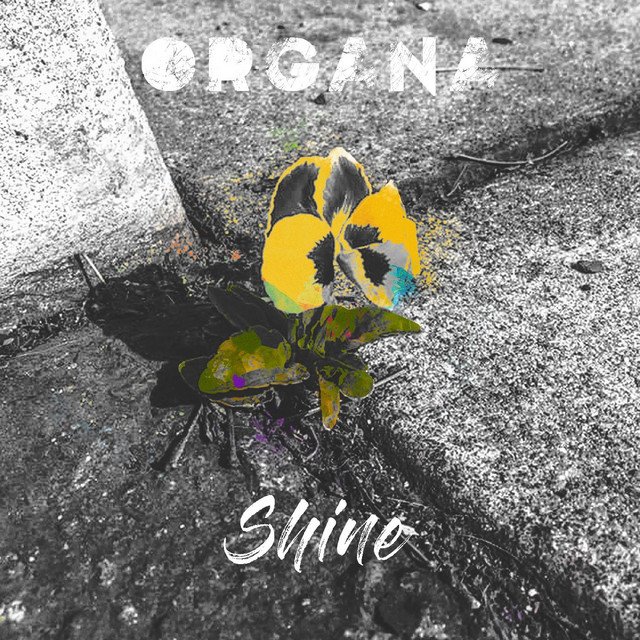 Organa - Shine (Spotify), Jazz music genre, Nagamag Magazine