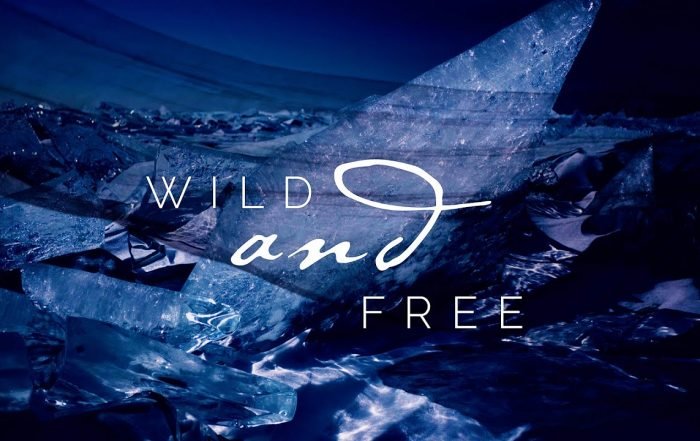 ViVA Trio - WILD & FREE (Video), Neoclassical music genre, Nagamag Magazine