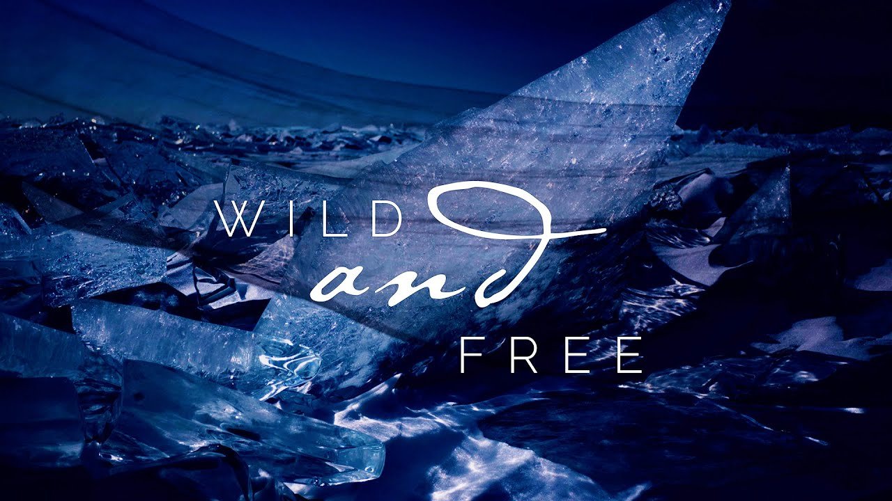 ViVA Trio - WILD & FREE (Video), Neoclassical music genre, Nagamag Magazine