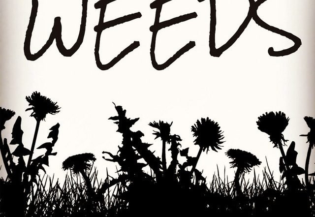 Brian David, JUSTIN TITUS, LADY SPRUCE - Weeds (Spotify), Rock music genre, Nagamag Magazine