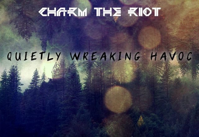 Charm the Riot - Supersonic Waves (Spotify), Hip-Hop music genre, Nagamag Magazine