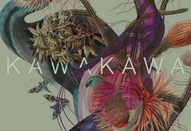 Kawakawa - Grow My Love (Spotify), Pop music genre, Nagamag Magazine