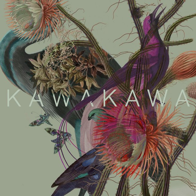 Kawakawa – Grow My Love (Spotify)