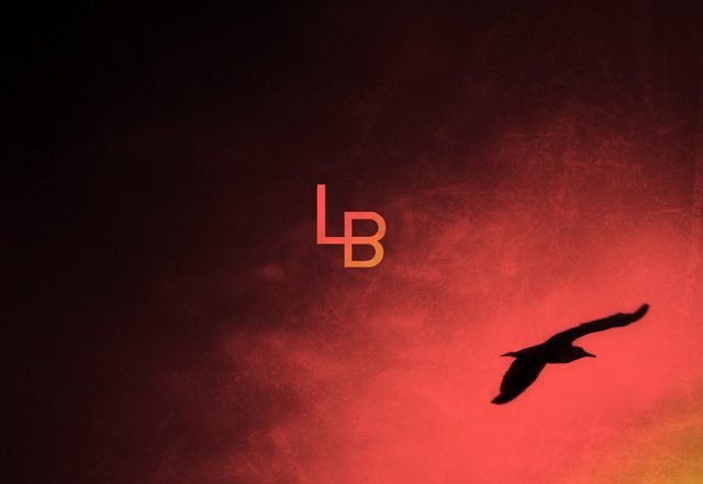 Lars Bygdén - A Bird and a Star (Spotify), Rock music genre, Nagamag Magazine
