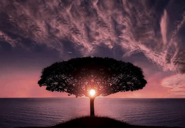 Oscar Jeffery - Entendre (Spotify), Neoclassical music genre, Nagamag Magazine