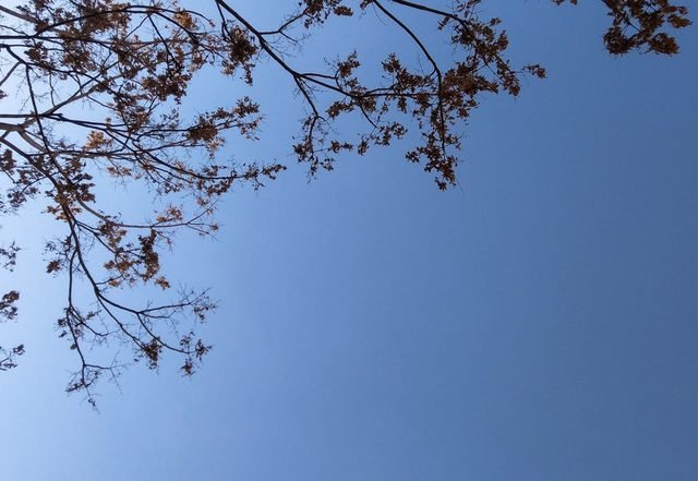 Pouria Zarei - Vanished (Spotify), Neoclassical music genre, Nagamag Magazine