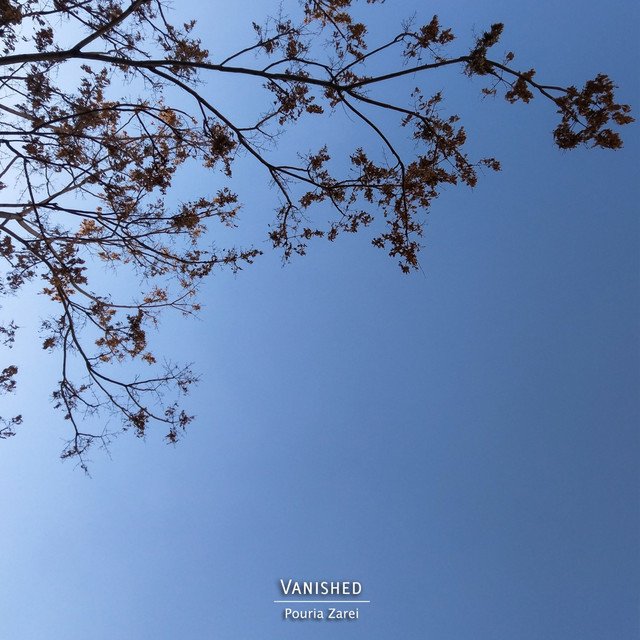 Pouria Zarei – Vanished (Spotify)