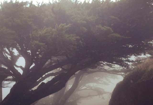 Boris Nikiforov - Reli (Spotify), Neoclassical music genre, Nagamag Magazine