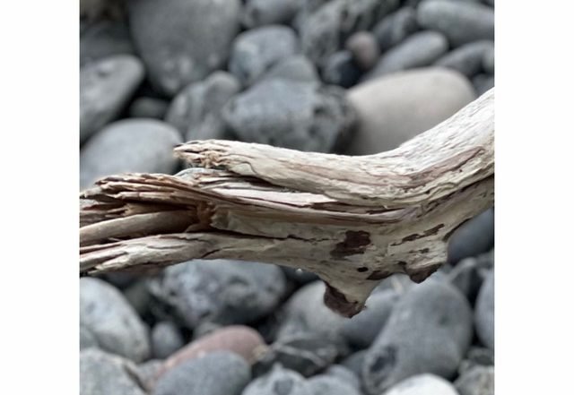 Hannah Schneider - Fluid (Spotify), Neoclassical music genre, Nagamag Magazine