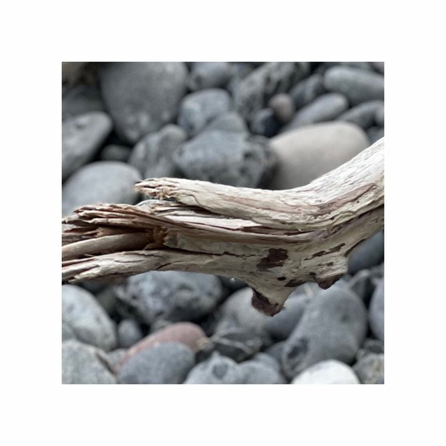 Hannah Schneider - Fluid (Spotify), Neoclassical music genre, Nagamag Magazine