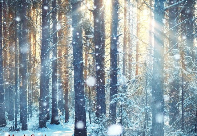 Mark Sutton - View from a Window (Spotify), Neoclassical music genre, Nagamag Magazine