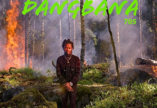705 - Dangbana (Spotify), Pop music genre, Nagamag Magazine