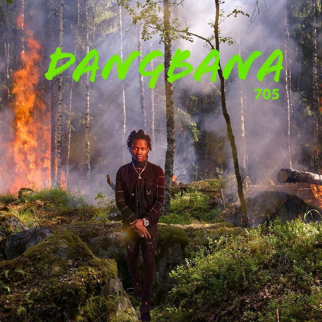 705 – Dangbana (Spotify)