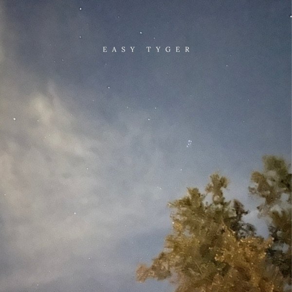 Easy Tyger - 7 Sisters - Radio Edit (Spotify), Electronica music genre, Nagamag Magazine