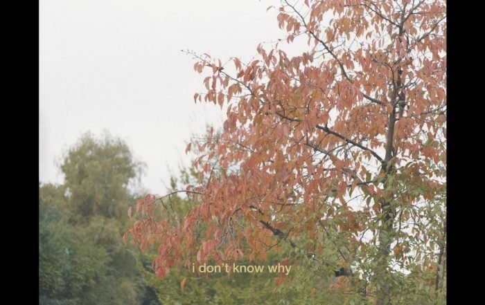Sunflower Thieves - I Don't Know Why (Video), Rock music genre, Nagamag Magazine