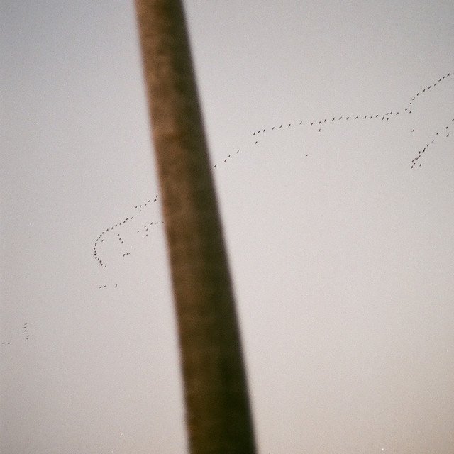 vern matz – getting older (Spotify)