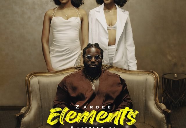 Zardee - Elements (Spotify), Pop music genre, Nagamag Magazine
