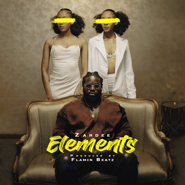 Zardee - Elements (Spotify), Pop music genre, Nagamag Magazine