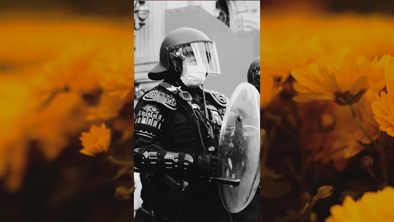 Earthphish - In the Hallway (Video), Electronica music genre, Nagamag Magazine