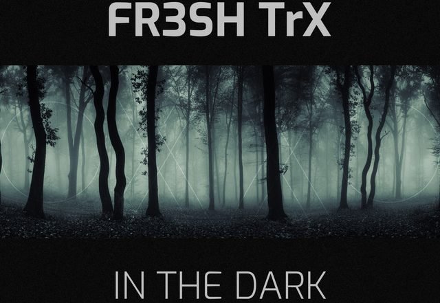 FR3SH TrX - In The Dark (Spotify), Electronica music genre, Nagamag Magazine