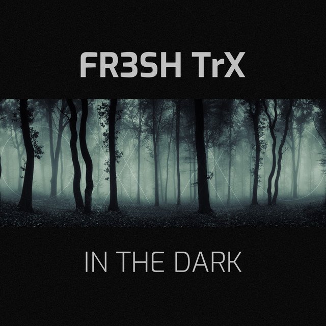 FR3SH TrX – In The Dark (Spotify)