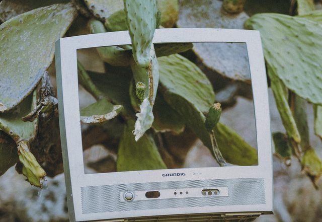 Johanna Amelie - IRL (Spotify), Pop music genre, Nagamag Magazine